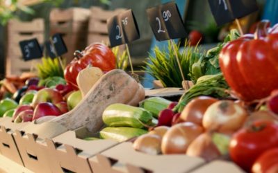 Indices des prix des produits agricoles – Année 2024