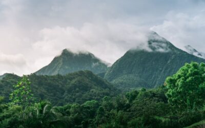 Indice des prix à la consommation en Martinique – Année 2024