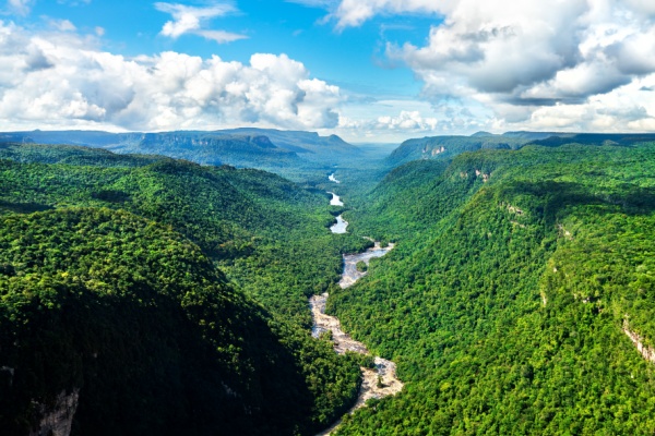 Indice des prix à la consommation en Guyane – Année 2024