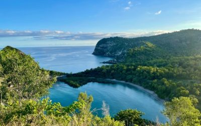 Indice des prix à la consommation à Mayotte – Année 2024