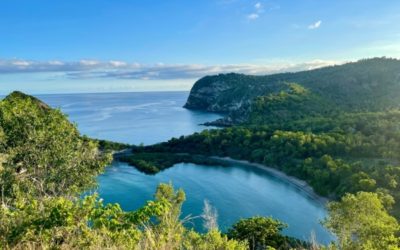 Indice des prix à la consommation à Mayotte – Année 2024