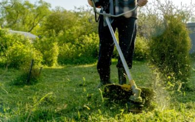Indice de la production des services aux ménages – Année 2024
