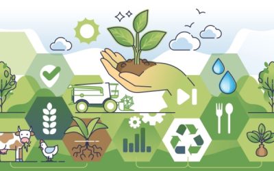 Les principales nouveautés sociales en 2026 pour le secteur agricole