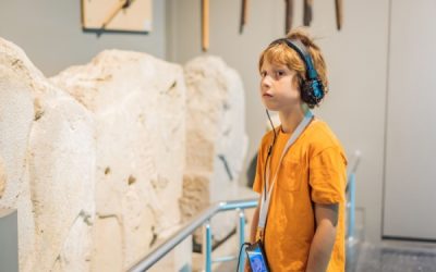 Pass Culture : évolution des parts collective et individuelle