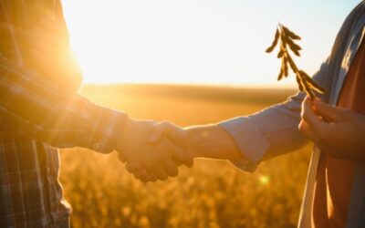 Secteur agricole : aides actualisées en mars 2026