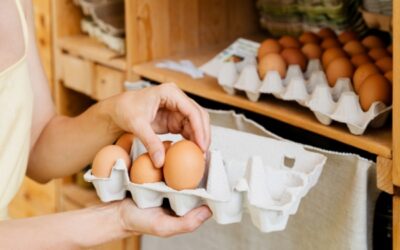 Commercialisation des œufs : précisions pour le marché français