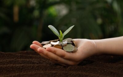 Politique agricole commune : évolutions concernant l’éligibilité aux aides financières