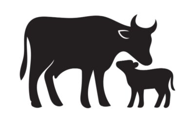 Secteur agricole : le point sur les aides en juin 2026