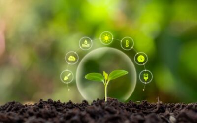 Mesures agroenvironnementales et climatiques : assouplissement de l’engagement