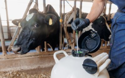 Insémination artificielle : harmonisation des démarches
